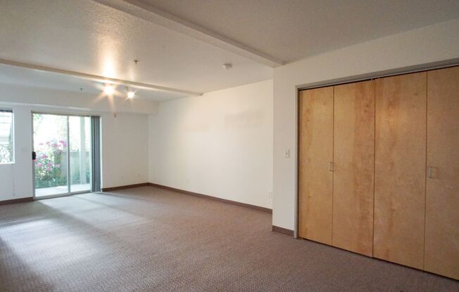 Spacious & Bright Modern Studio w/Fireplace, W/D & Patio