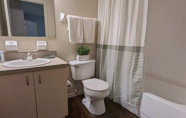 a bathroom with a toilet and a sink and a shower