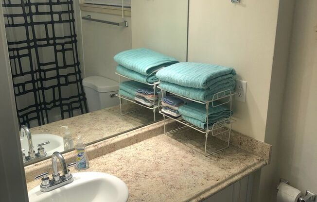 Studio, 1 bath, $1,300