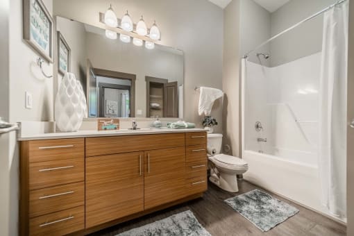 a bathroom with a shower toilet and sink and a mirror