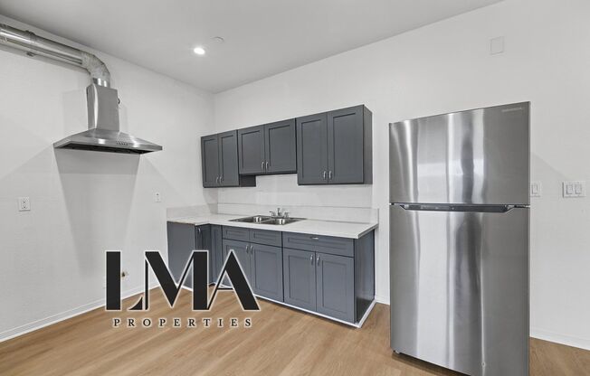 Studio, 1 bath, 500 sqft, $1,238, Unit 206