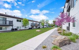 the preserve at ballantyne commons apartment community walkway with trees and houses