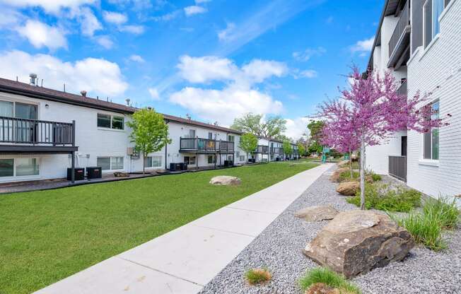 the preserve at ballantyne commons apartment community walkway with trees and houses