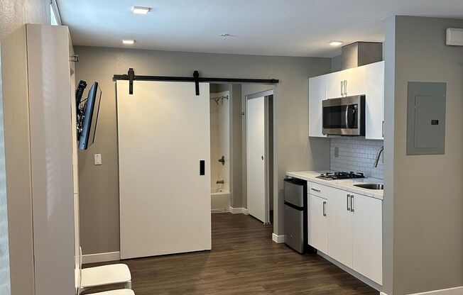 Studio, 1 bath, 294 sqft, $1,750, Unit 434-301
