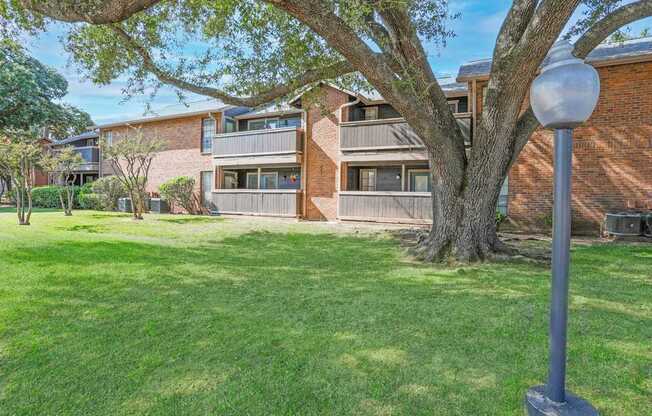 A grassy area in front of a building with a tree and lamp post.