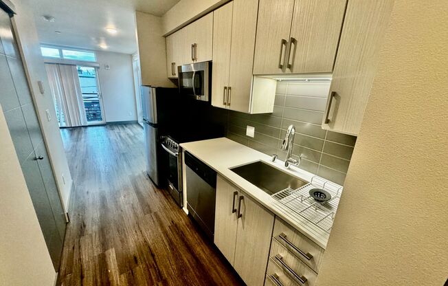 Studio, 1 bath, 421 sqft, $1,595, Unit 313