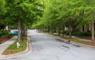 Walton Lakes, Camp Creek Parkway Tree Lined Streets