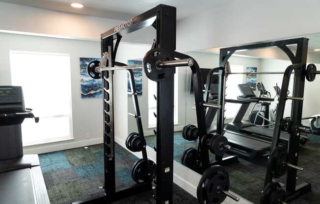 a home gym with weights and cardio equipment