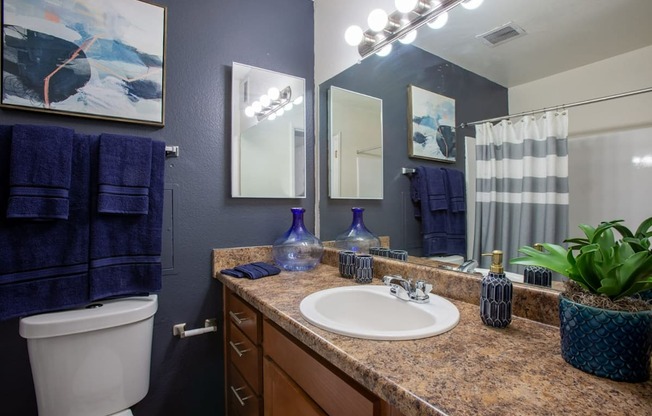 Pet-Friendly Apartments In Tucson, AZ – Midtown on Seneca - Photo of Bathroom with luxury vanity