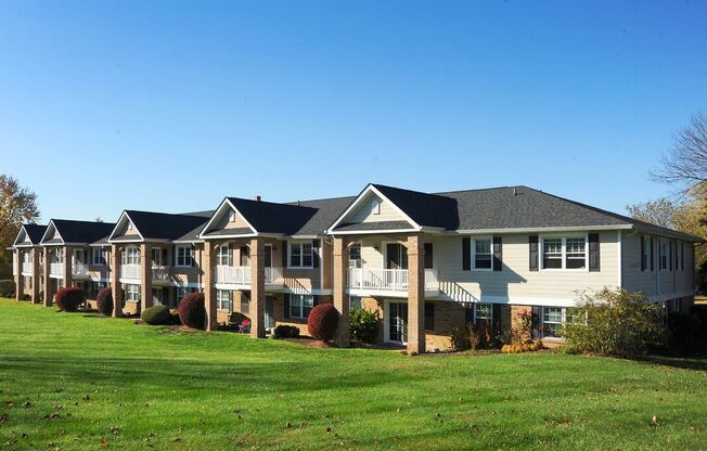 Professional Landscaping