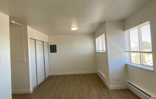 Studio, 1 bath, 405 sqft, $995, Unit Unit 310