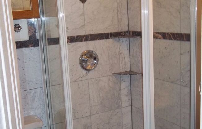 Studio, 1 bath, 250 sqft, $1,245, Unit 206
