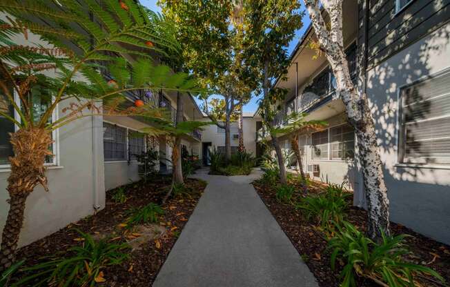 a walkway between two apartment buildings with trees and plants on either side