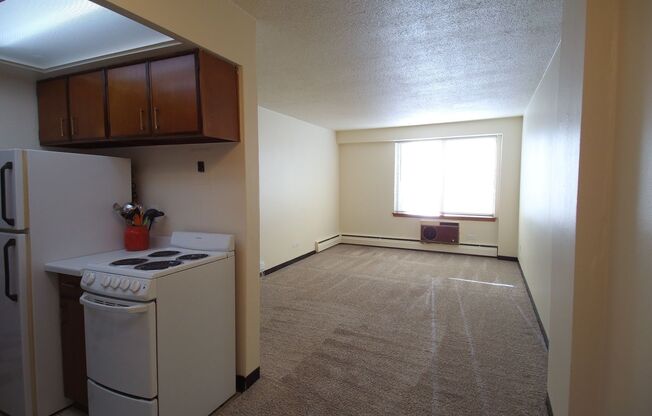 1 bed, 1 bath, 620 sqft, $1,055, Unit 209