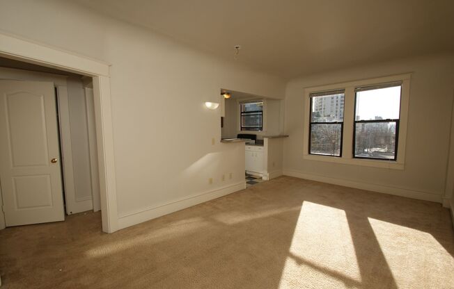 Studio, 1 bath, 405 sqft, $1,195, Unit 315