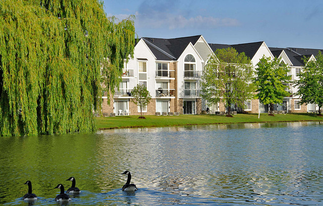 Lake Views at Northport Apartments, Macomb, MI, 48044