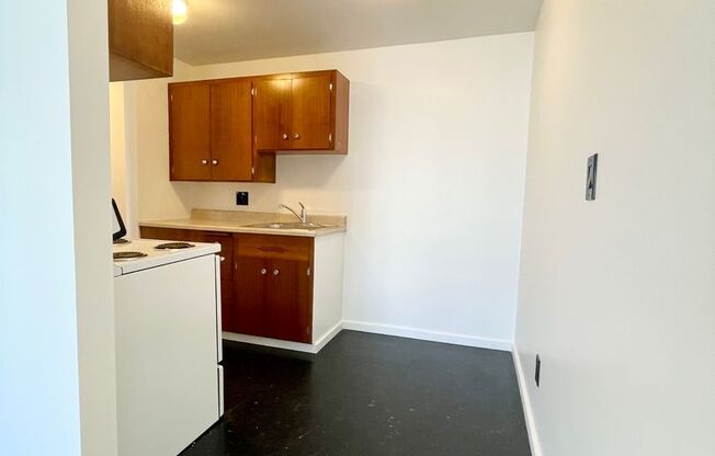 Studio, 1 bath, 464 sqft, $1,450, Unit 207