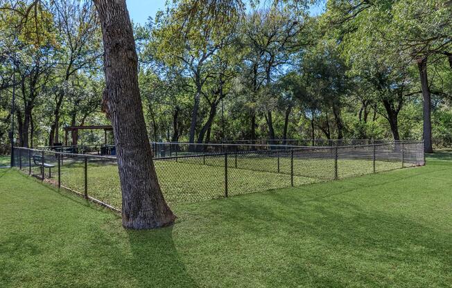 a tree in the middle of a lush green field