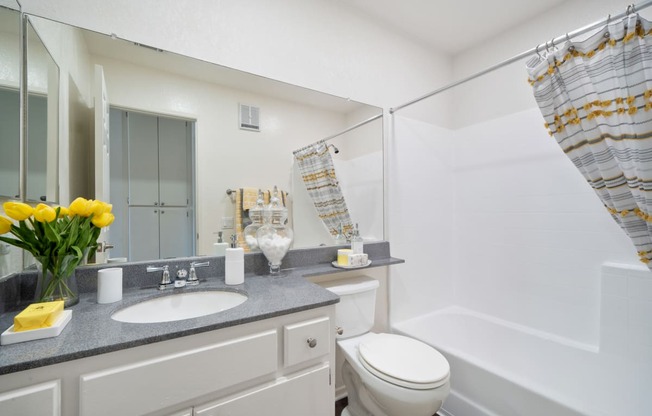 a bathroom with a sink and a toilet and a shower