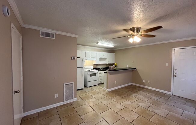 1 bed, 1 bath, 477 sqft, $1,250, Unit 203