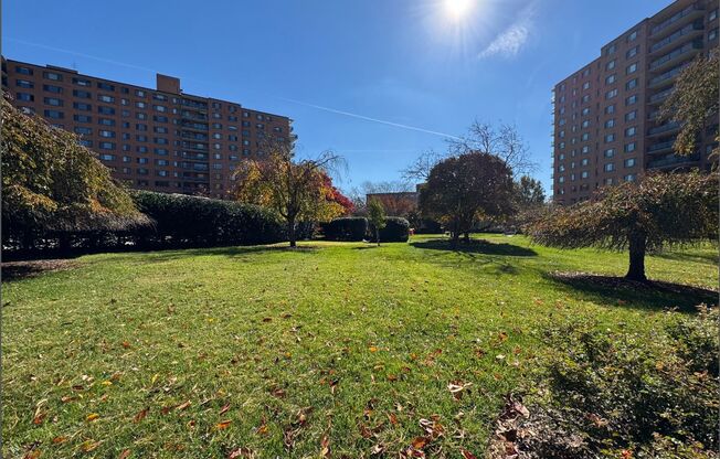 Lovely 1 BR/1 BA Condo in Wesley Heights!