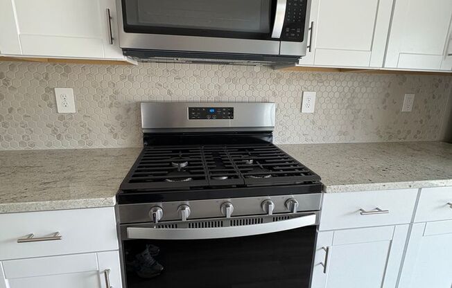 Beautiful New Home, Now For Rent.