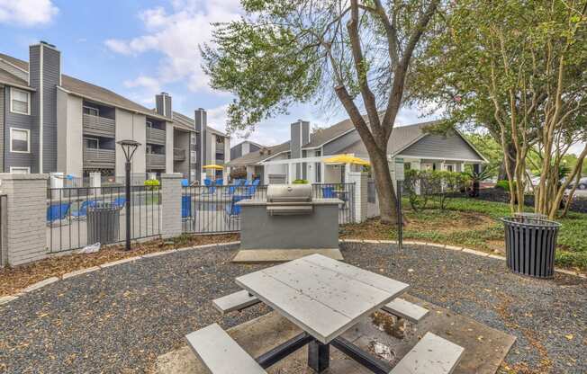 a picnic area with a picnic table and a grill