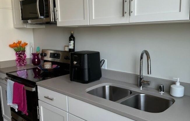 Studio, 1 bath, 452 sqft, $1,250, Unit 309