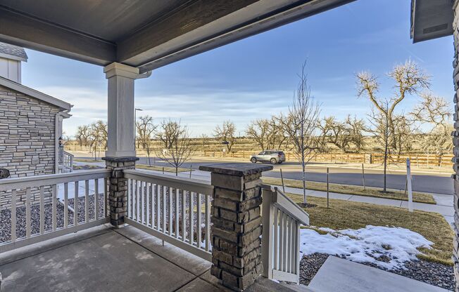 Stunning New Build in Aurora with Sleek Finishes, a Chef's Dream Kitchen with Stainless Steel Appliances including Gas Stove and Double Oven! Minutes to E470 and I70!