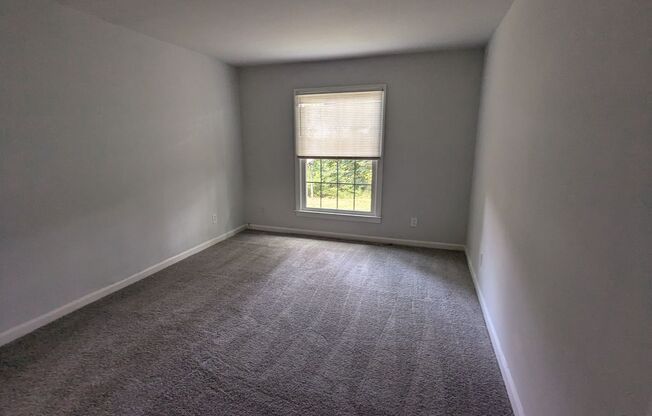 2 beds, 1 bath, $1,199