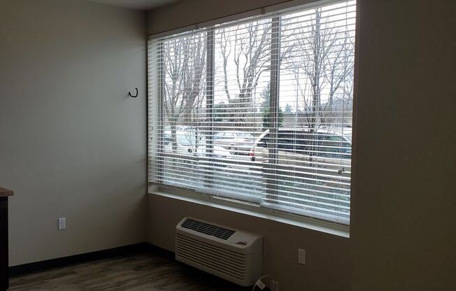 Studio, 1 bath, 519 sqft, $1,125, Unit 2-113W