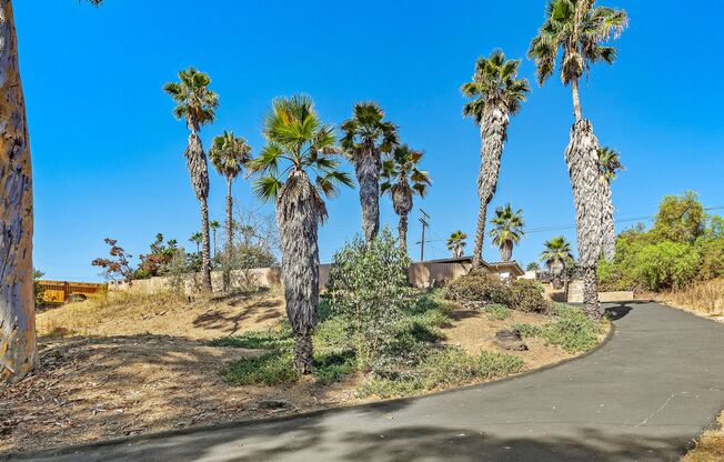 Spring Valley Single family house