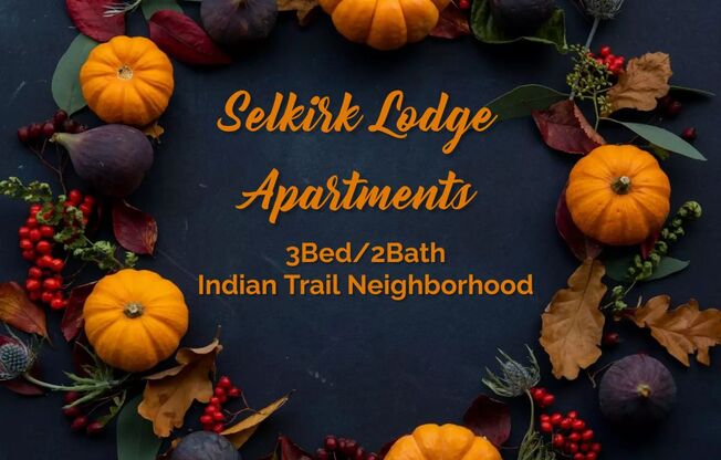 Selkirk Lodge Apartments