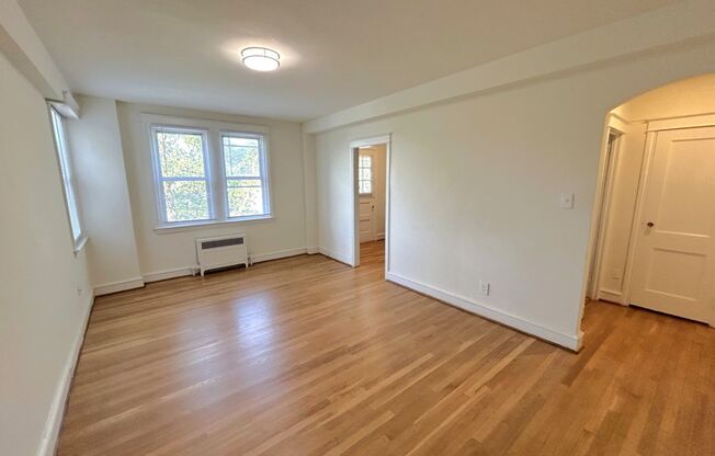 1 bed, 1 bath, 500 sqft, $1,089, Unit A407