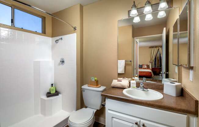 a bathroom with a toilet sink and shower and a mirror