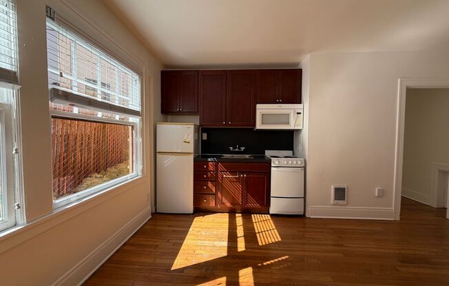 Studio, 1 bath, 308 sqft, $1,099, Unit 16