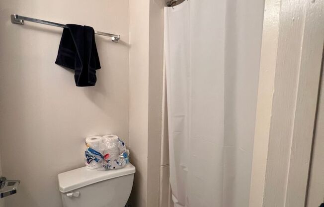 1 bed, 1 bath, 450 sqft, $1,295, Unit 204