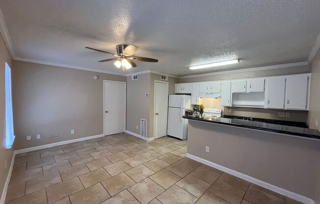 1 bed, 1 bath, 477 sqft, $1,250, Unit 203