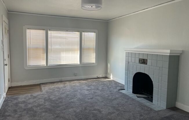 1 bed, 1 bath, $2,000