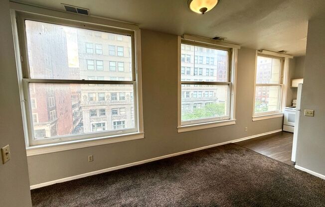 2 beds, 1 bath, $1,195, Unit 305 S 16th St. - Unit 506