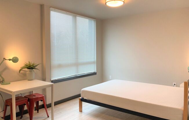 Studio, 1 bath, 258 sqft, $1,095, Unit 403