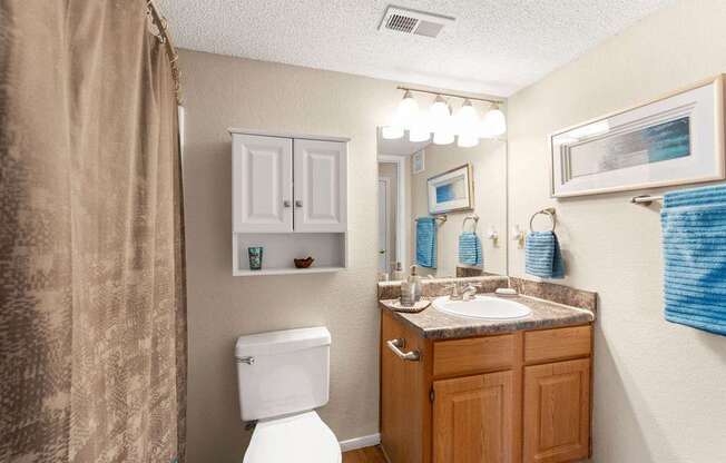 A bathroom with a toilet, sink, and mirror.