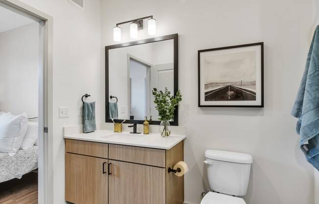 Discover Apex: Comfort & Convenience