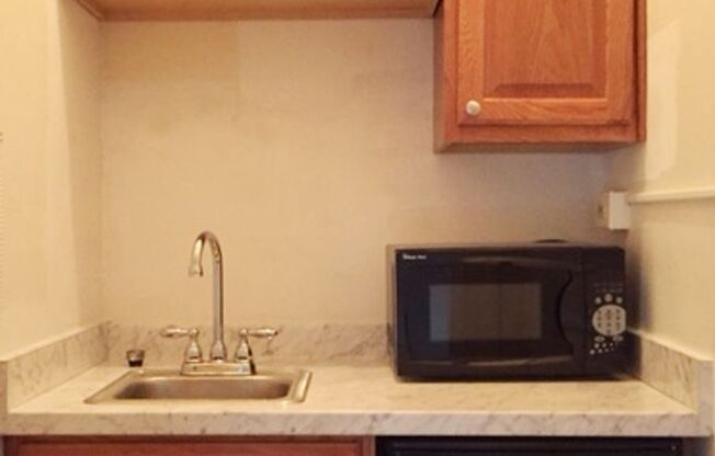 Studio, 1 bath, 240 sqft, $1,050, Unit 107A