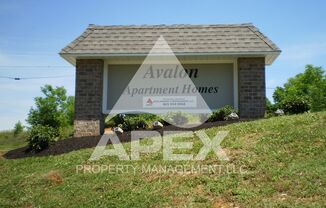 MOVE-IN SPECIAL!!  NO RENT UNTIL JULY 1ST 2024!  AVALON APARTMENT HOMES---NICE UNIT---2BD - 1BA Apartment off Topside Road with convenient access to Maryville or Knoxville!