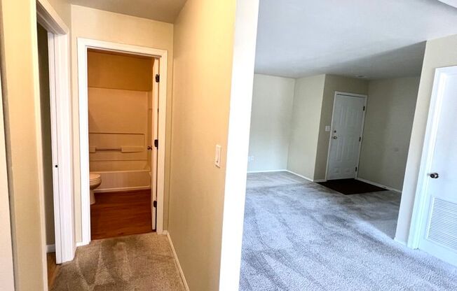 2 beds, 1 bath, $1,250