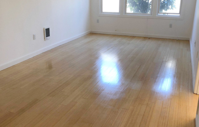 1 bed, 1 bath, 502 sqft, $1,629, Unit 206