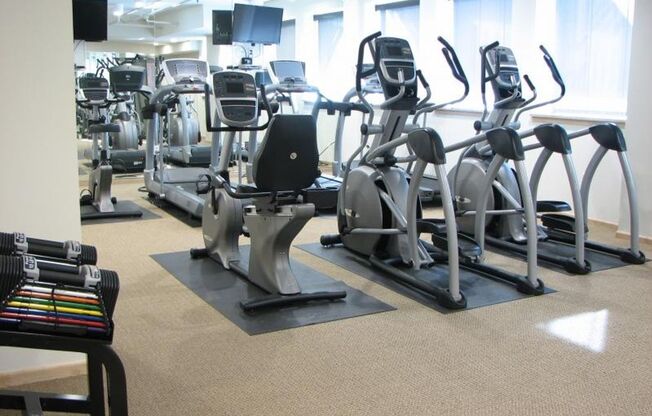 1 bed, 1 bath, 728 sqft, $1,675, Unit 309