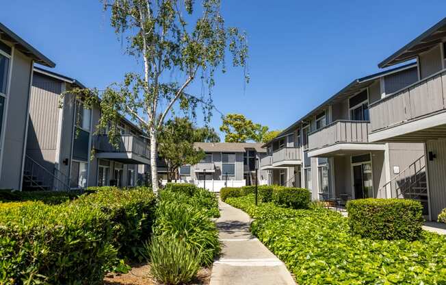 an exterior view of apartments with sidewalks and plants and trees at Campbell West Apartments, California