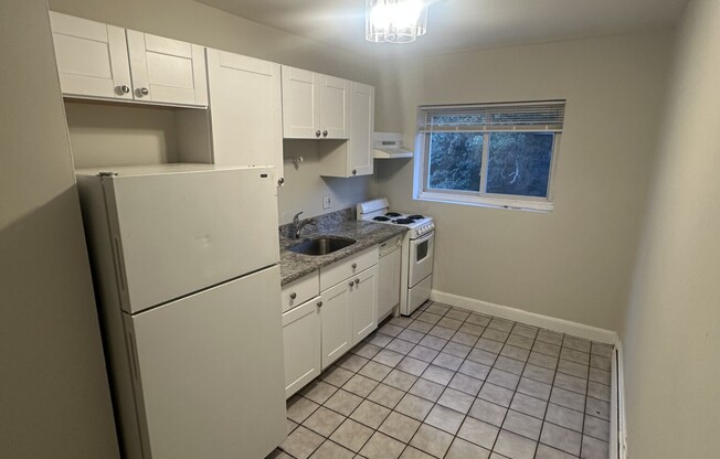 63 Selkirk Rd